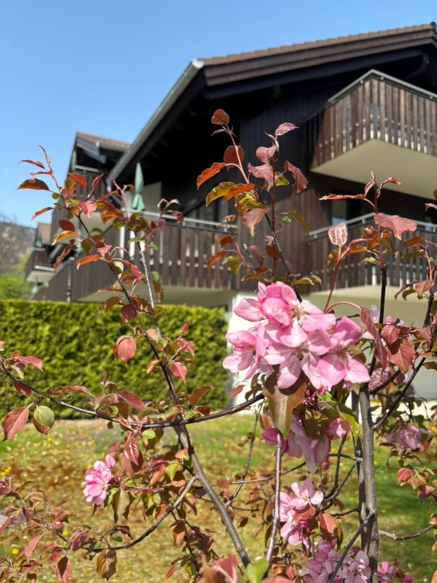Bader Suites Garmisch-Partenkirchen Zewnętrze zdjęcie
